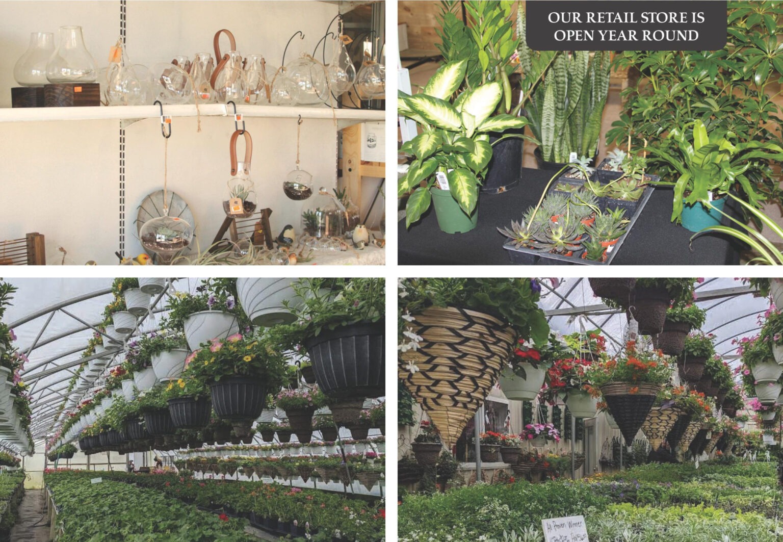 Country Corners Greenhouse The Gardening that matters