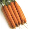 Carrots