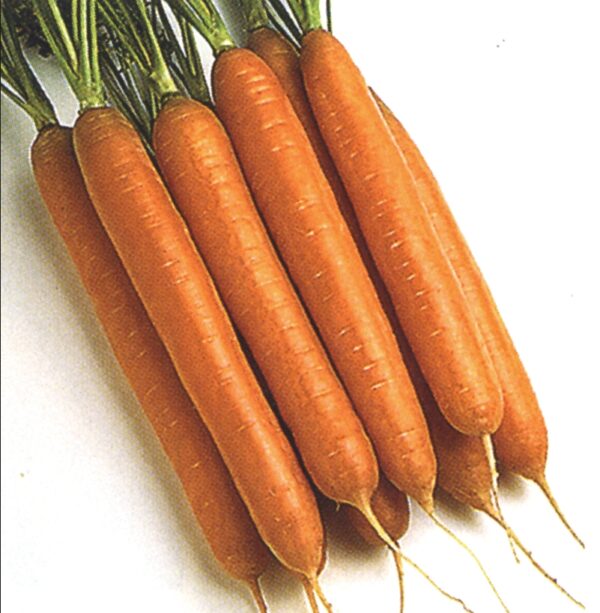 Carrots