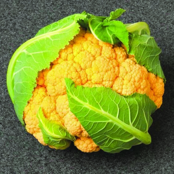 Flame_Star_Cauliflower