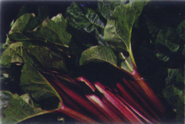 Rhubarb