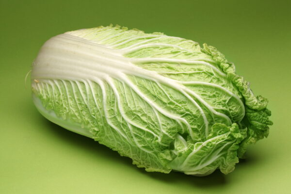 Chinese,Cabbage,Isolated,On,A,Green,Background.