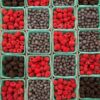 Berries,Raspberries,Blueberries,And,Blackberries,In,A,Row,On,Green