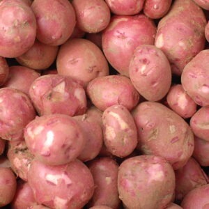 Red,Norland,Potatoes,At,A,Farmer's,Market