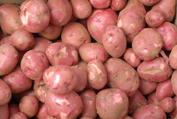 Red,Norland,Potatoes,At,A,Farmer's,Market