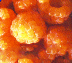 yellow_raspberries