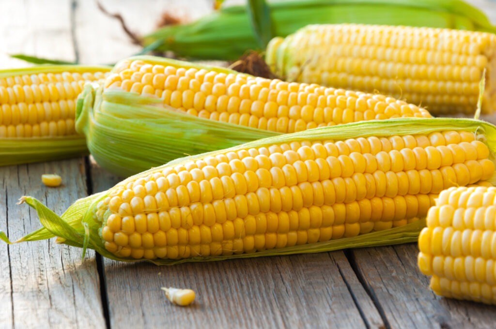 Fresh,Corn,On,Cobs,On,Wooden,Table,,Closeup,,Top,View